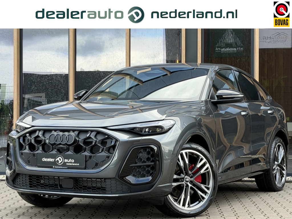 53392041