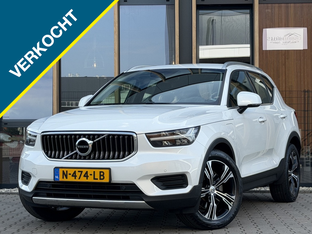 53841600